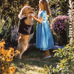 Buddy – pies na gole