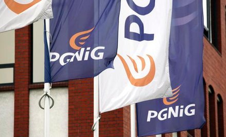 OFE miały obligacje PGNiG warte 1,7 mld zł na koniec 2012 r.