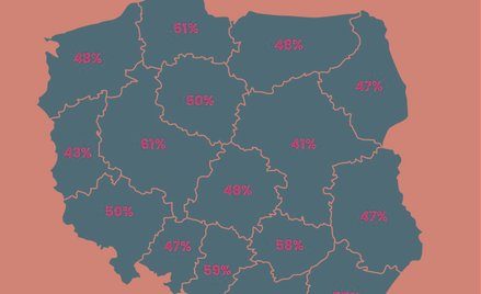 Co drugi polski dom w remoncie