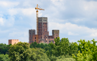 Zamek w Stobnicy na terenie chronionego Obszaru Natura 2000 w Puszczy Noteckiej w trakcie budowy