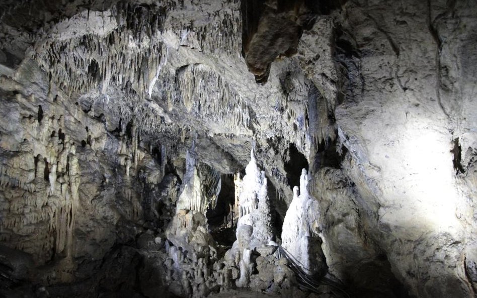 Jaskinie w Han-sur-Lesse w Belgii