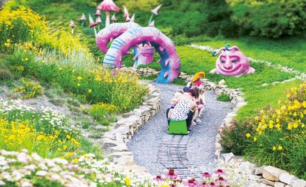 Jedną z największych atrakcji Janowca są Magiczne Ogrody, rodzinny park, który oczaruje nie tylko na