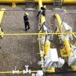 Gaz łupkowy na Lubelszczyźnie? PGNiG rozpoczyna wiercenie