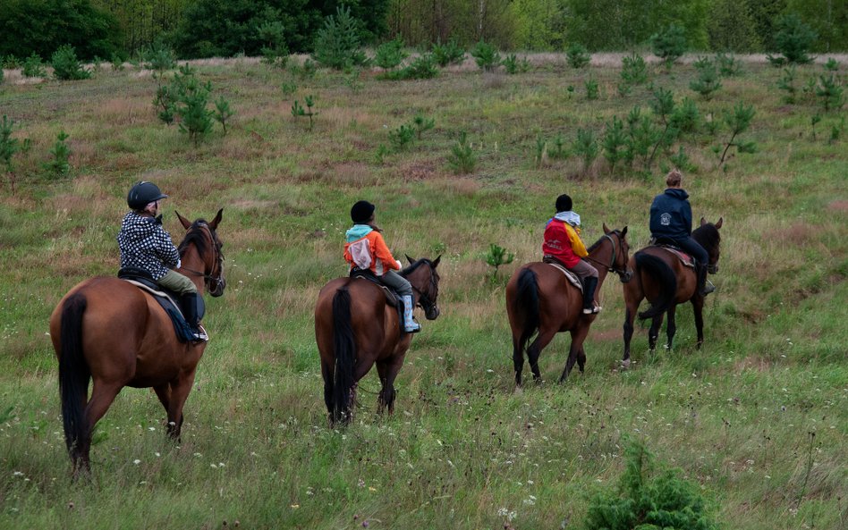 Dodatkowe usługi agroturystyczne trzeba opodatkować PIT