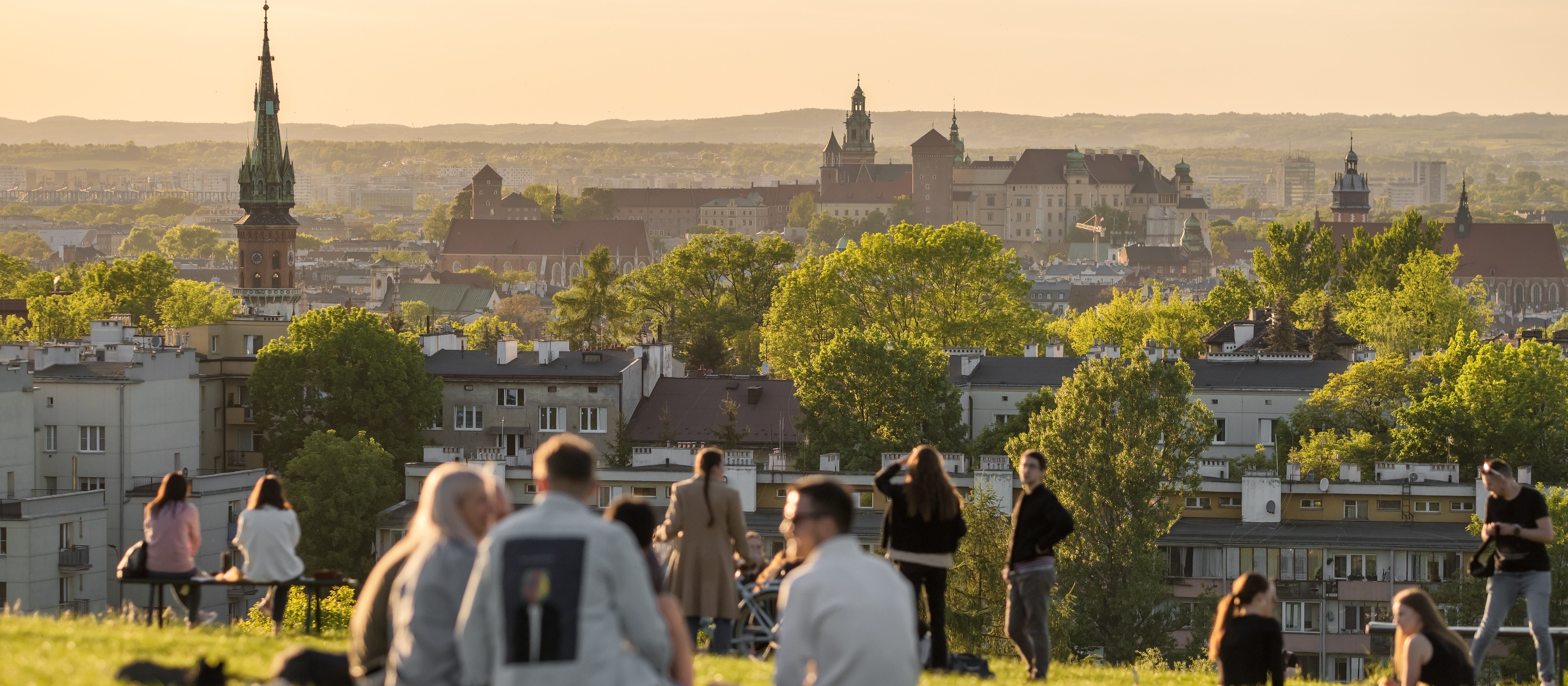 Betonoza w odwrocie. Przybędzie drzew na ulicach i rynkach