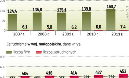 Panorama firm małopolski