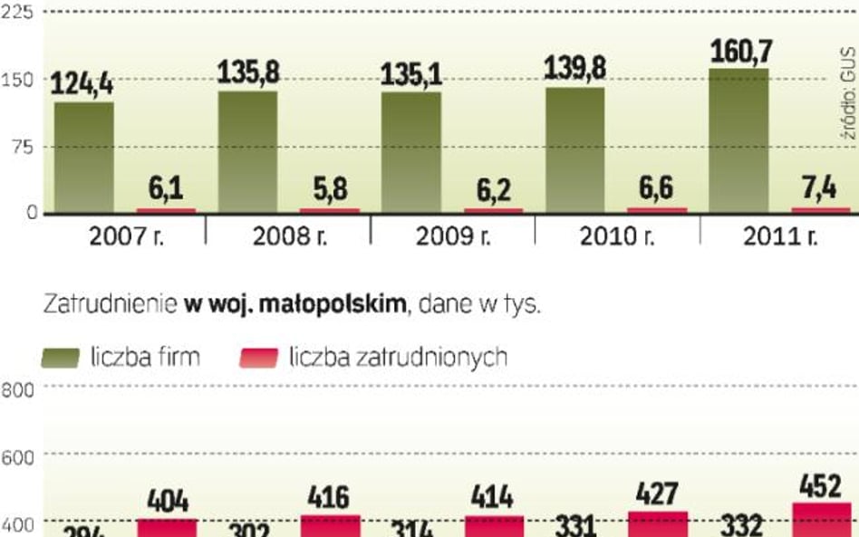 Panorama firm małopolski