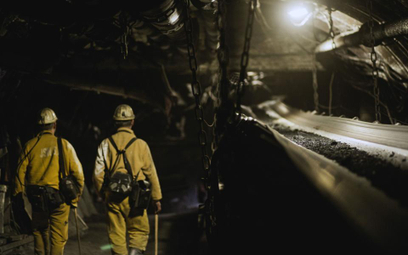 JSW: Rozkręcają się prace przy budowie kopalni