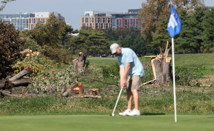 East Potomac Golf Links po wycince drzew