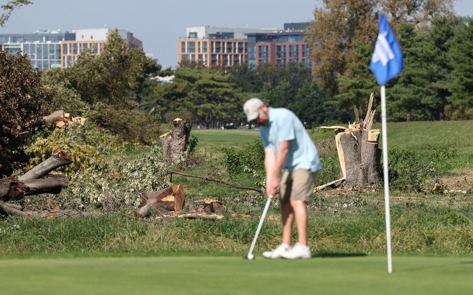 East Potomac Golf Links po wycince drzew