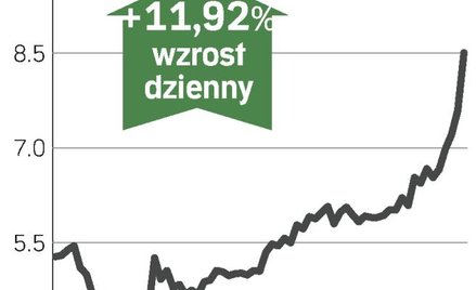 Spłata gwarancji państwowych