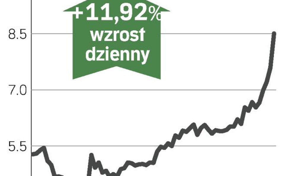 Spłata gwarancji państwowych