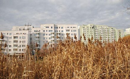 Zagospodarowanie przestrzenne: deweloperzy nie będą budowali w szczerym polu