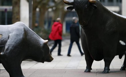 Byki tygodnia, czyli spółki, których kursy akcji dotarły do nowych rekordów zwyżek i niedźwiedzie, c