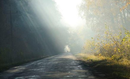 Modernizacja drogi gminnej będzie kosztem firmowym