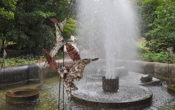 Ogród botaniczny UW jest zlokalizowany w pobliżu Łazienek Królewskich w Warszawie