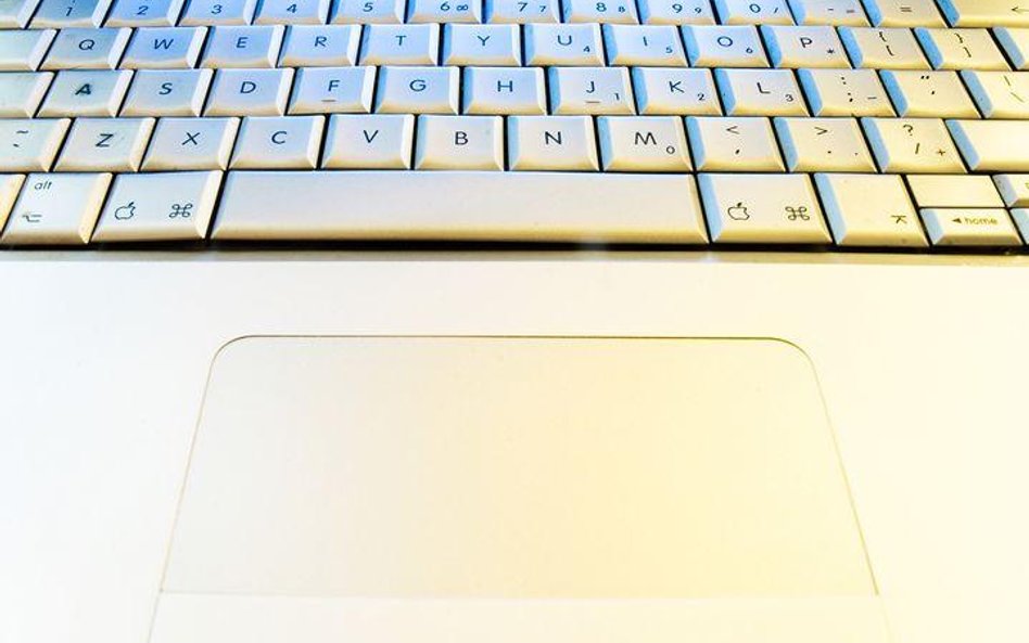 Przybywa ofert pracy - głównie dla informatyków