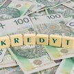 Jaskółki ożywienia na rynku kredytowym