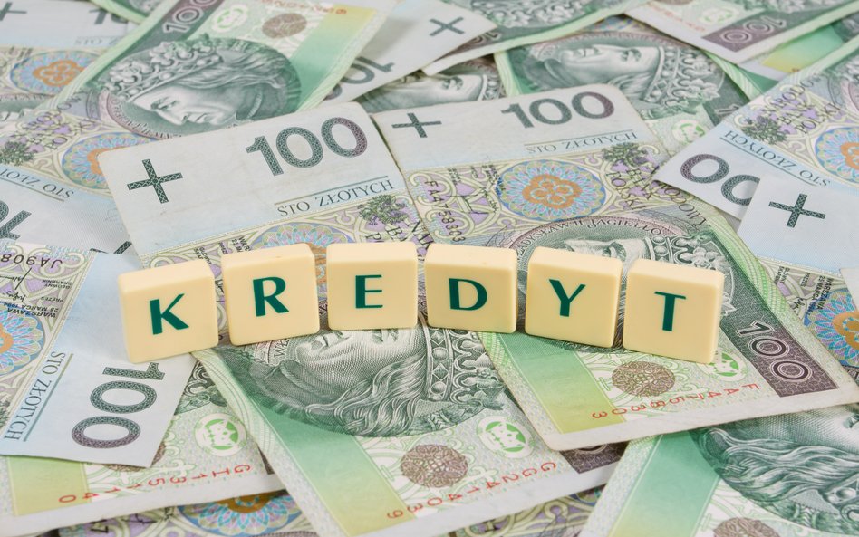 Jaskółki ożywienia na rynku kredytowym