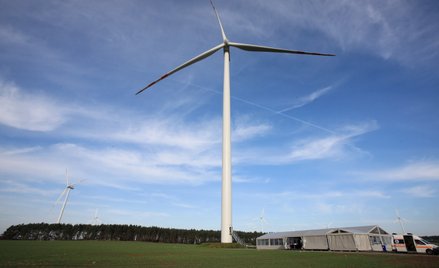 Nie tylko linie energetyczne. Wiatraki także nie dają rady z wiatrem