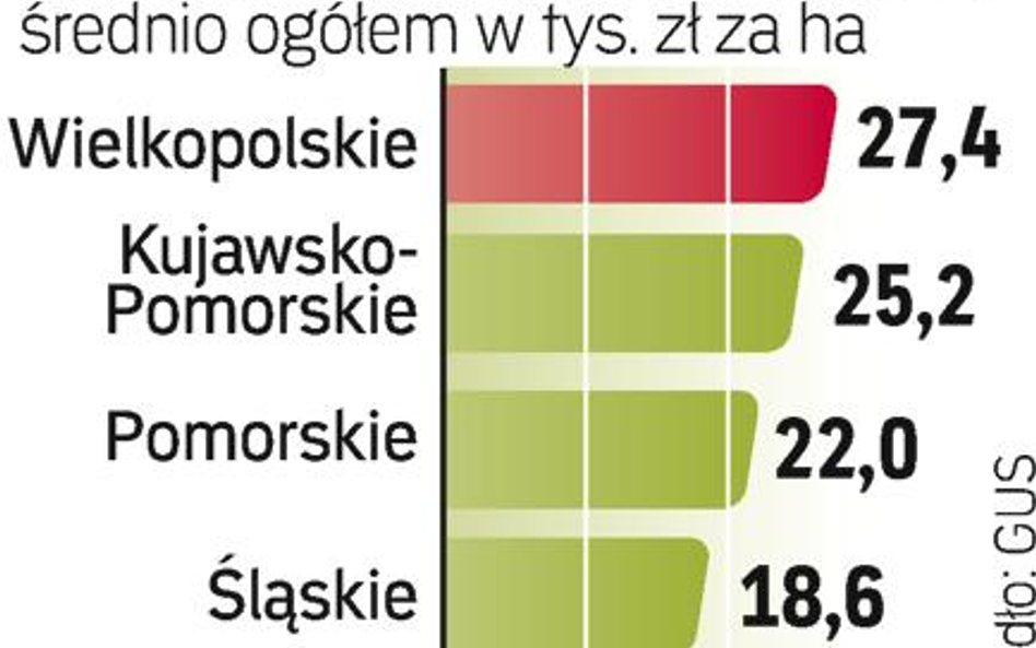 Ile za hektar gruntów
