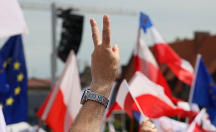 Stawką tych wyborów są Europa, wolność, demokracja