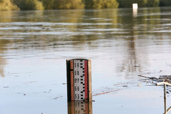 Wysoki stan wody w Odrze w miejscowości Połęcko. Fala kulminacyjna przepływa przez województwo lubus
