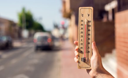 Najbardziej zagrożone ekstremalnymi upałami regiony świata