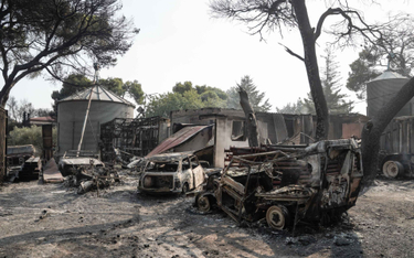 Grecja w ogniu: najgorsza fala upałów od 30 lat