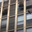 Chicago: Kot skoczył z piątego piętra płonącego budynku. Przeżył