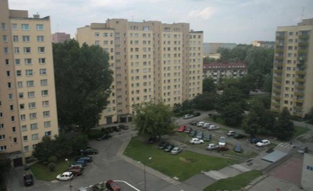 Najważniejsza niska cena