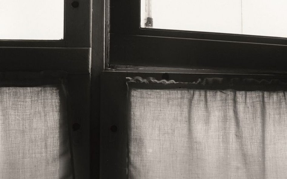 Zbigniew Dłubak, z serii Egzystencje, 1959-1966