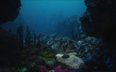Podwójne eldorado na dnie oceanu. Gigantyczne zasoby metali, niezbadane środowisko