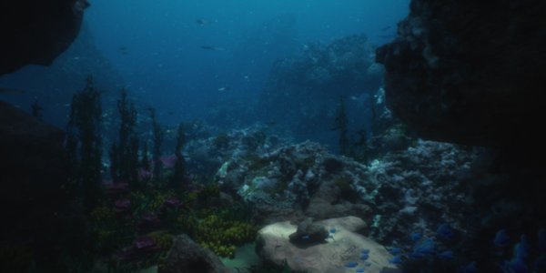 Podwójne eldorado na dnie oceanu. Gigantyczne zaso