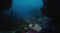 Podwójne eldorado na dnie oceanu. Gigantyczne zasoby metali, niezbadane środowisko