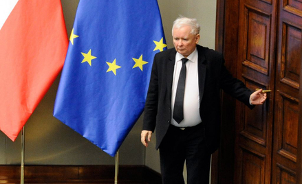 PiS ma projekt ustawy o ochronie zwierząt. Kaczyński: Poprą go wszyscy dobrzy ludzie
