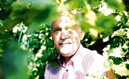 Prof. Wojciech Włodarczyk: Każdy winiarz najbardziej lubi swoje wino
