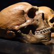 Najnowsze badania chińskich i brytyjskich naukowców mogą podważyć chronologię ewolucji człowieka / z