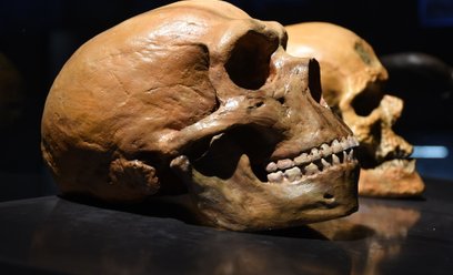 Najnowsze badania chińskich i brytyjskich naukowców mogą podważyć chronologię ewolucji człowieka / z