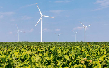 Farma wiatrowa w Dobrzyniu znalazła się wśród inwestycji Tauronu związanych z polityką Zielonego Zwr