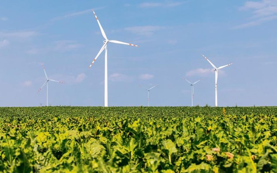 Farma wiatrowa w Dobrzyniu znalazła się wśród inwestycji Tauronu związanych z polityką Zielonego Zwr