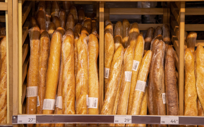 W Rosji zabraknie chleba przez sankcje? Problemy ze sprzętem