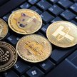 Polacy chcą uregulowania rynku kryptowalut