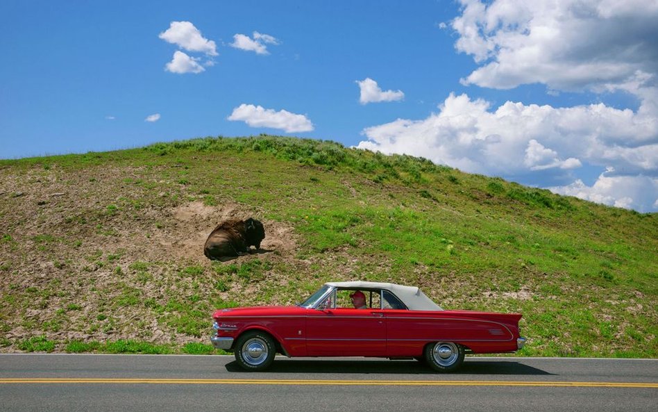 Park Narodowy Yellowstone, Wyoming, 2014 r.