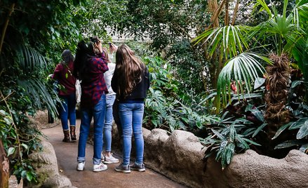 Wielka Brytania: Tropical World zamknięte. Zbyt gorąco dla tropikalnych gatunków