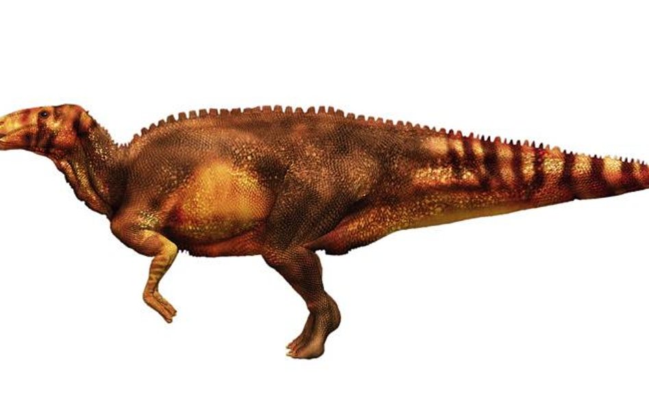 Dinozaur jak malowany: wielki, zwinny, pręgowany