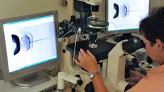 Zmiany w rządowym programie in vitro. Powstanie centralny rejestr