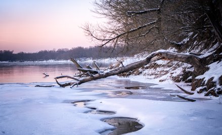 W najbliższych dniach synoptycy prognozują odwilż i roztopy. Temperatura może przekroczyć 10 stopni