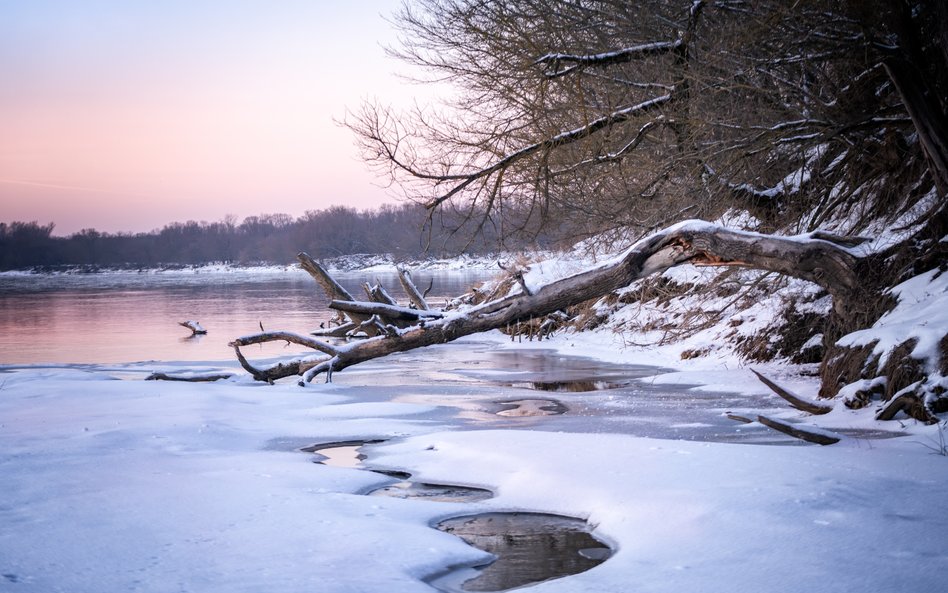 W najbliższych dniach synoptycy prognozują odwilż i roztopy. Temperatura może przekroczyć 10 stopni