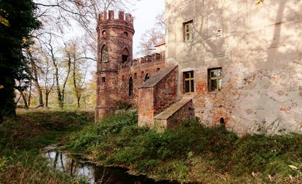 Pałacyk+ w nowej odsłonie